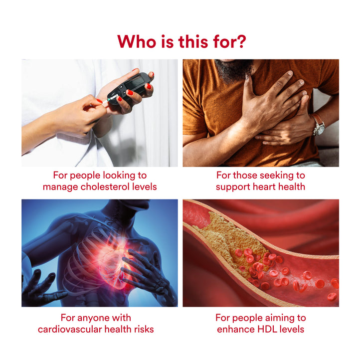 Cholesterol Aid - Origins Nutra