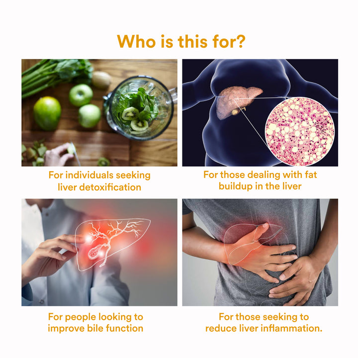 Fatty Liver Aid - Origins Nutra