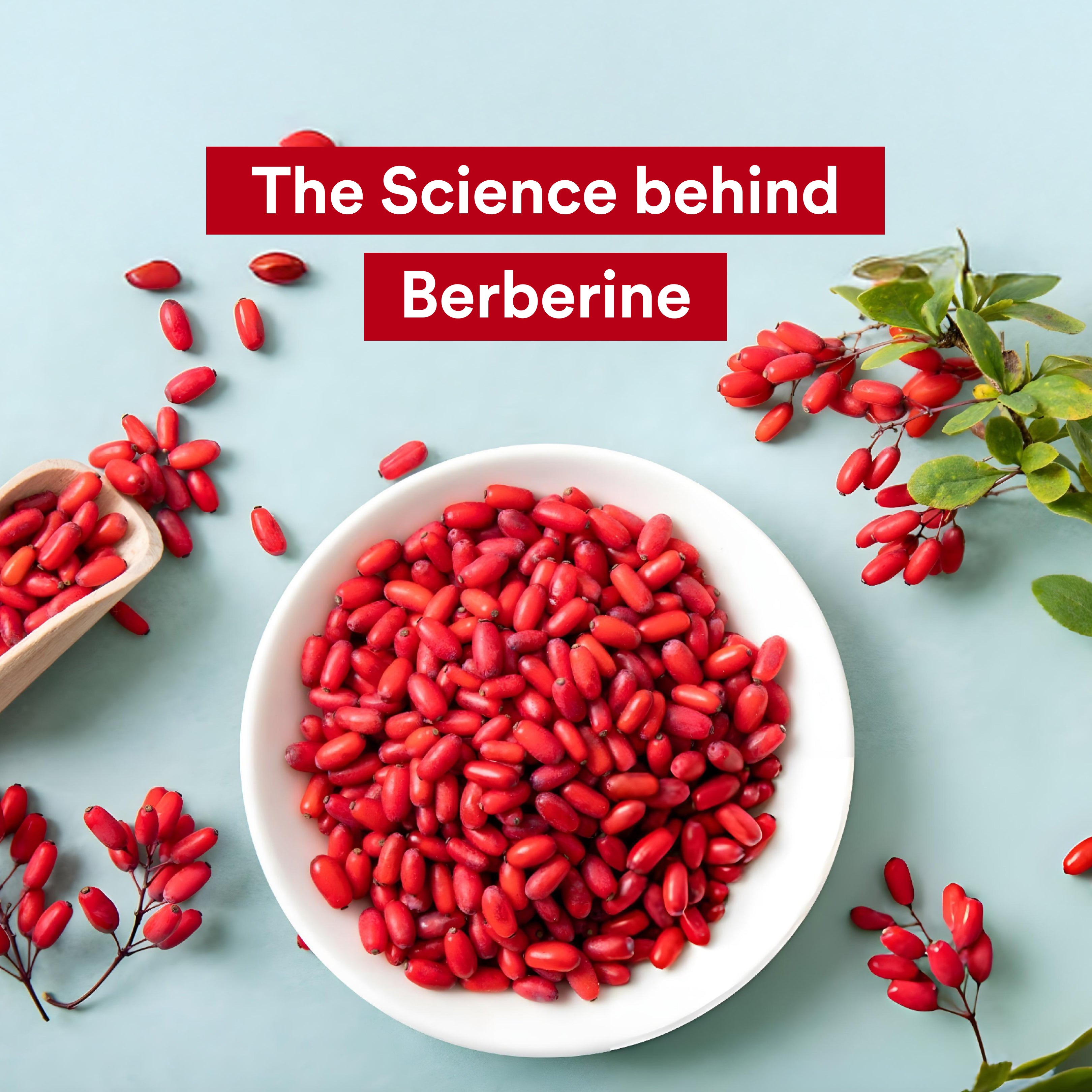 The Science Behind Berberine Origins Nutra the-science-behind-berberine-origins-nutra
