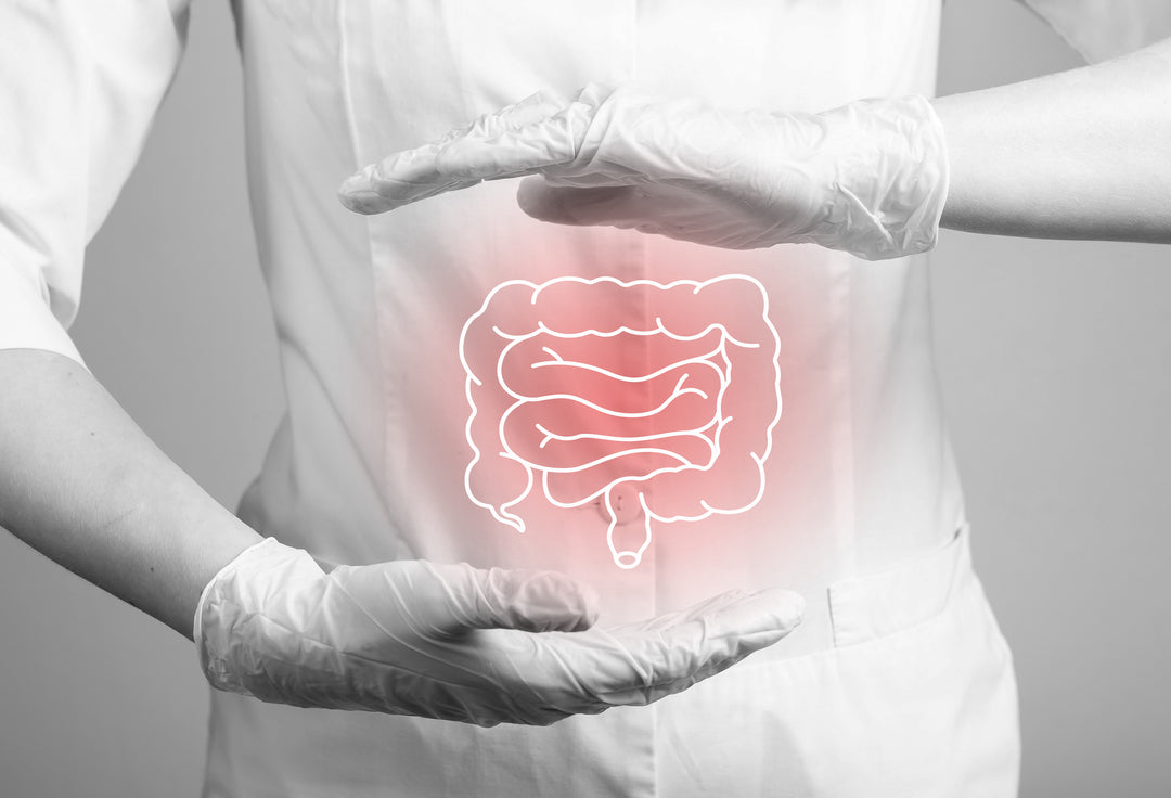 GUT Feeling: A Comprehensive Understanding of Leaky Gut