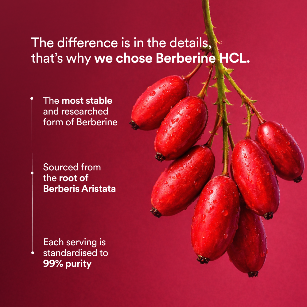 Berberine (99%) 500mg - Origins Nutra